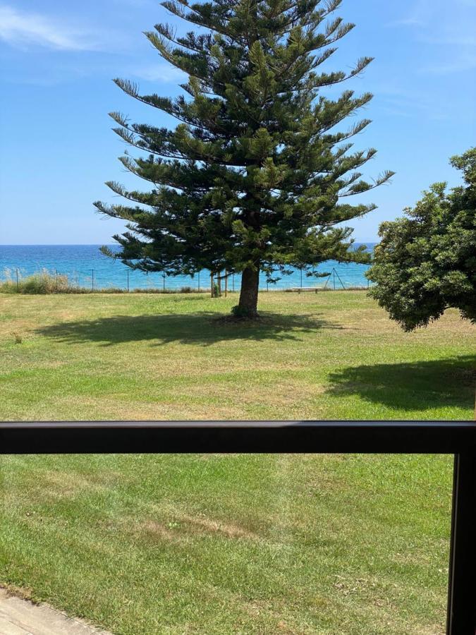 Appartement N 216 Moriani Plage サンタ・ルシア・ディ・モリアニ エクステリア 写真