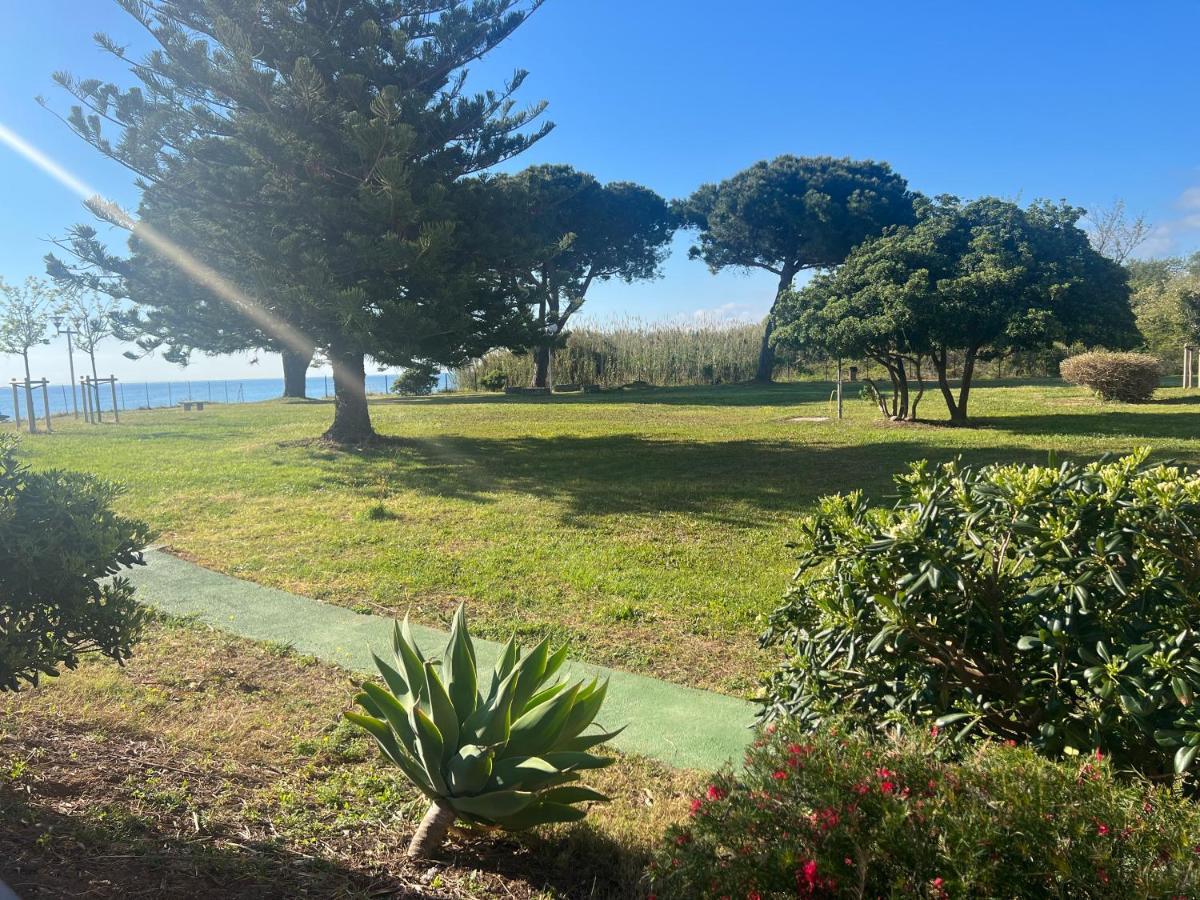Appartement N 216 Moriani Plage サンタ・ルシア・ディ・モリアニ エクステリア 写真